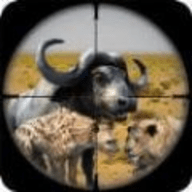 动物狩猎沙漠射击中文版