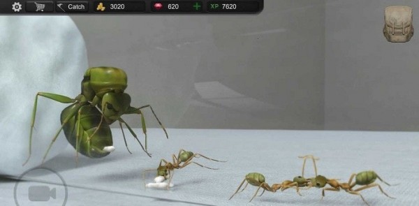 模拟蚂蚁大亨.jpg